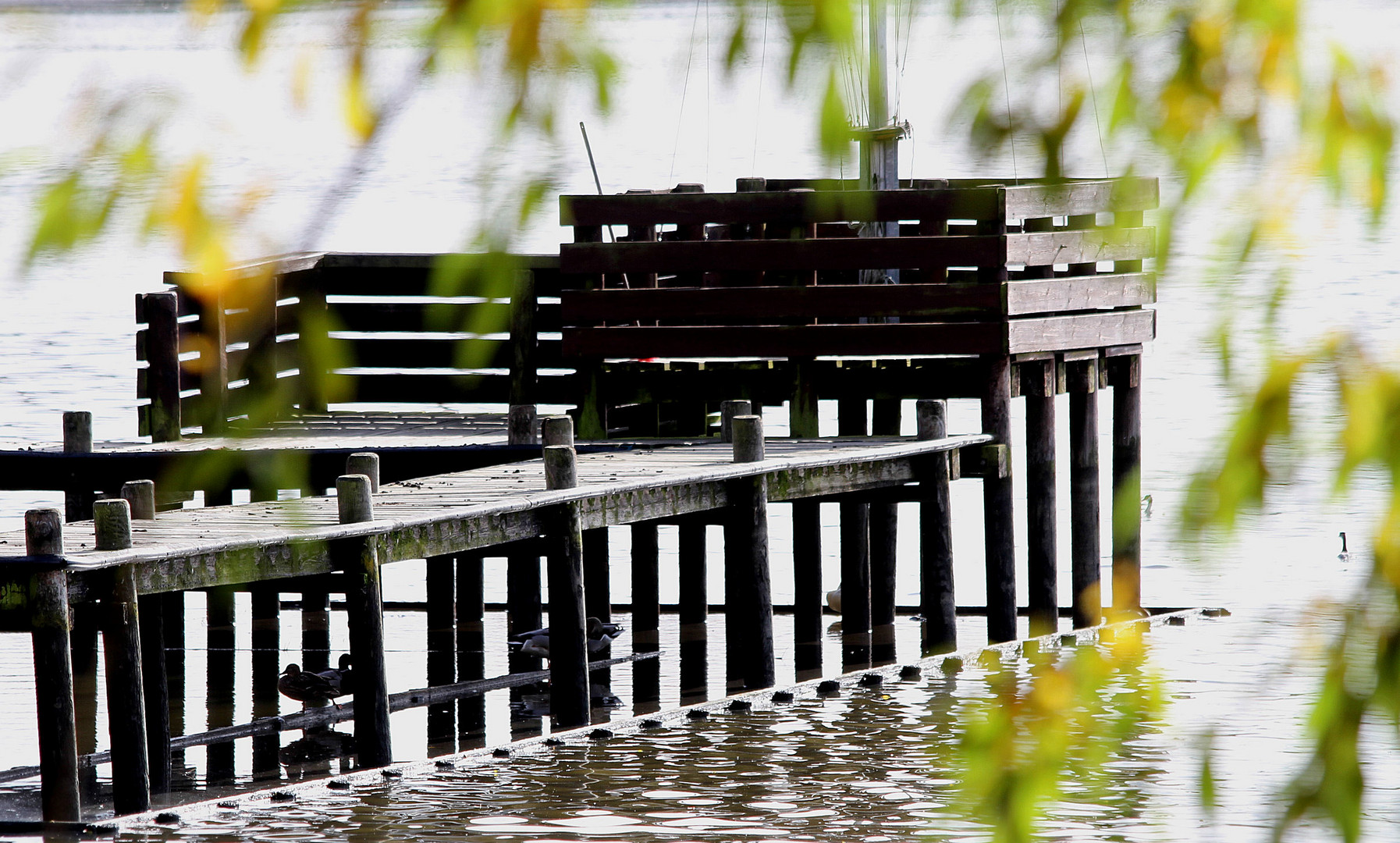 Bootssteg im Herbst.......................