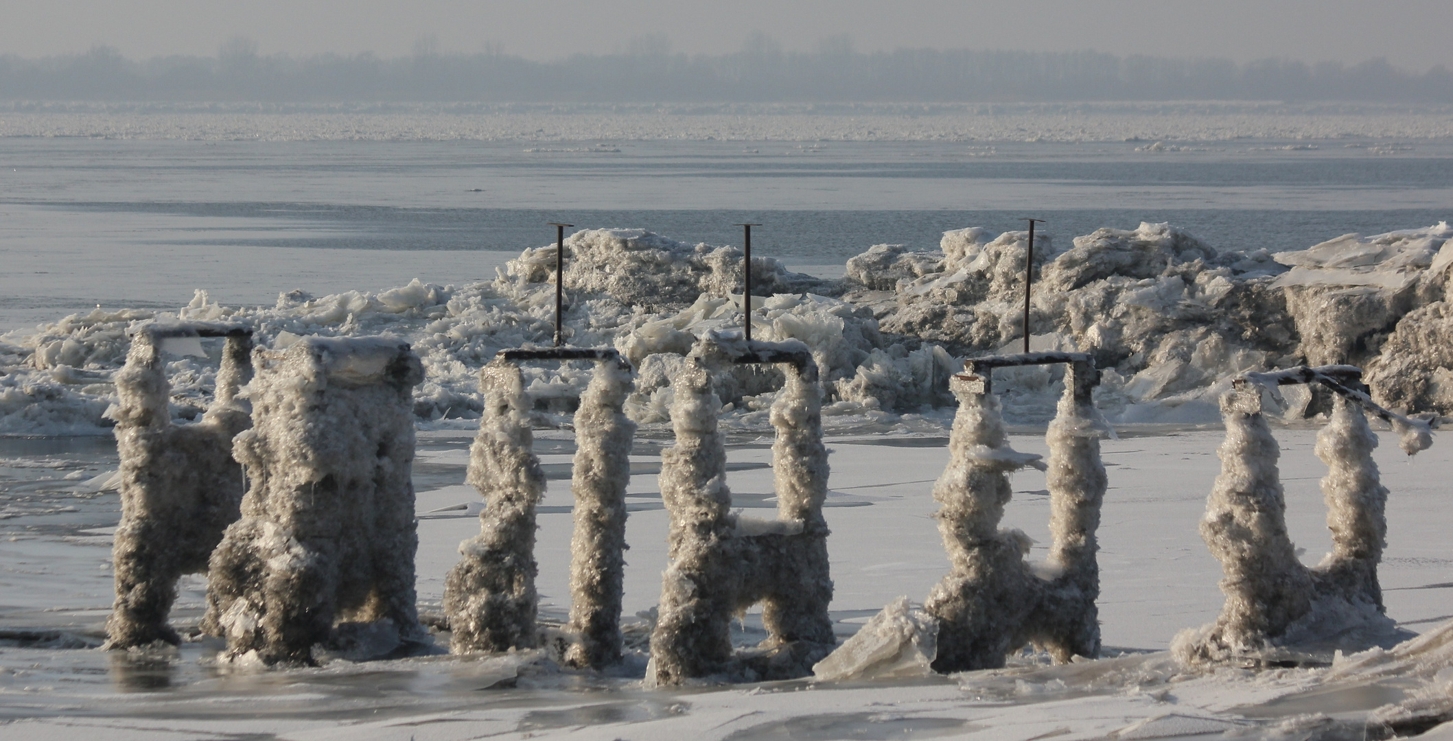 Bootssteg im Klimawandel