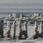 Bootssteg im Klimawandel