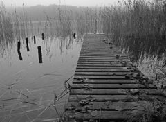 Bootssteg im Winter - Roofensee