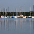 Bootssteg in der Abendsonne