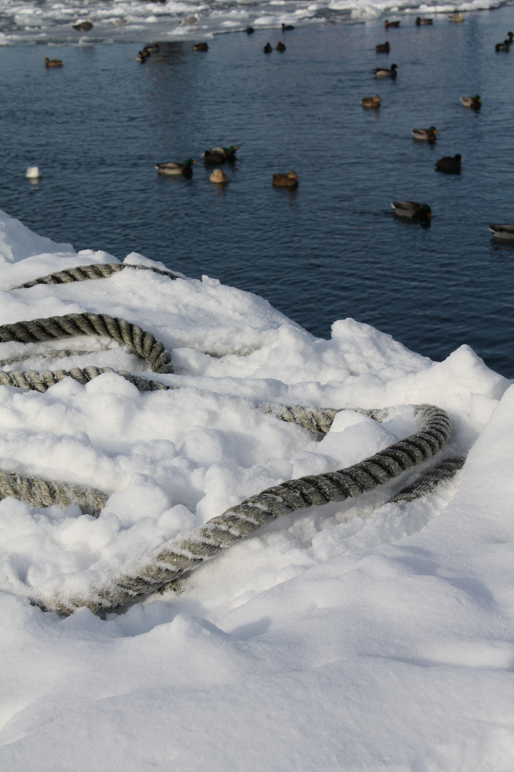 Bootstau im Schnee