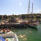 Bootstour / Bay of Islands