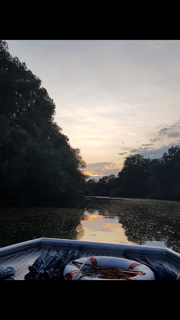 Bootstour in Seitenkanälen des Rhein