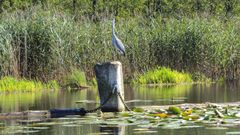 Bootstour nach Lindow