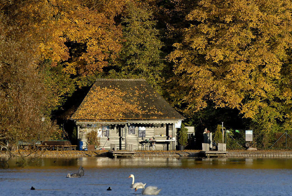 Bootsverleih im Herbst