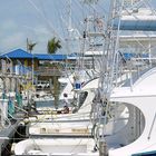 Bootsvermietung in Key West