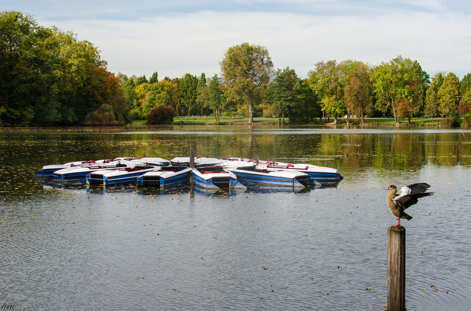 Bootswächter