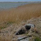 Bootswrack am Ferring Sø bei Strande in Midtjylland (DK)