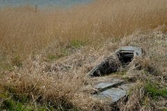 Bootswrack am Rand des Ferring Sø bei Strande in Midtjylland (DK)