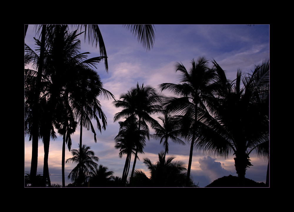 Bophut Beach, Koh Samui #2