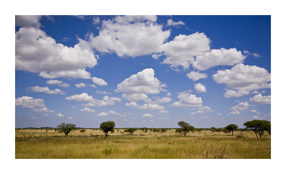 Bophuthatswana & Pilanesberg National Park 4