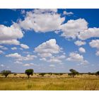 Bophuthatswana & Pilanesberg National Park 4