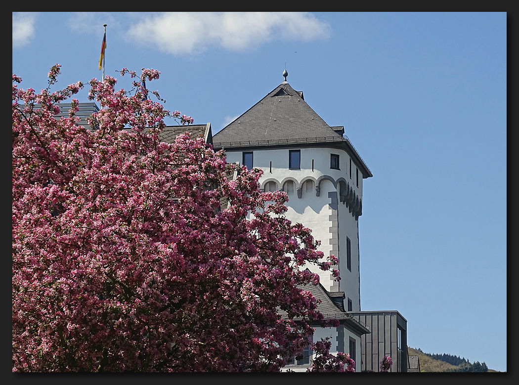 Boppard im Frühling