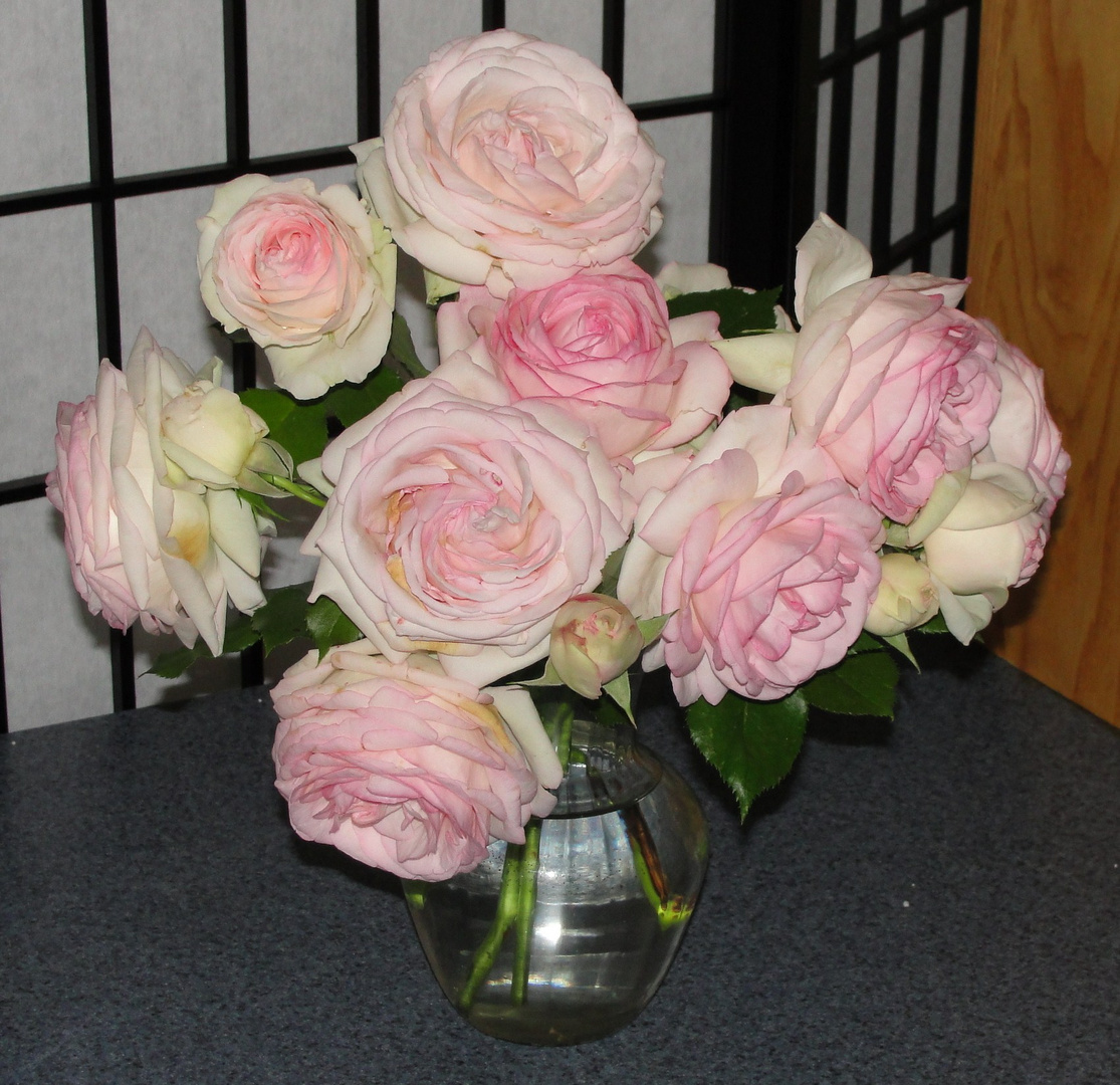 Boquet of cabbage roses