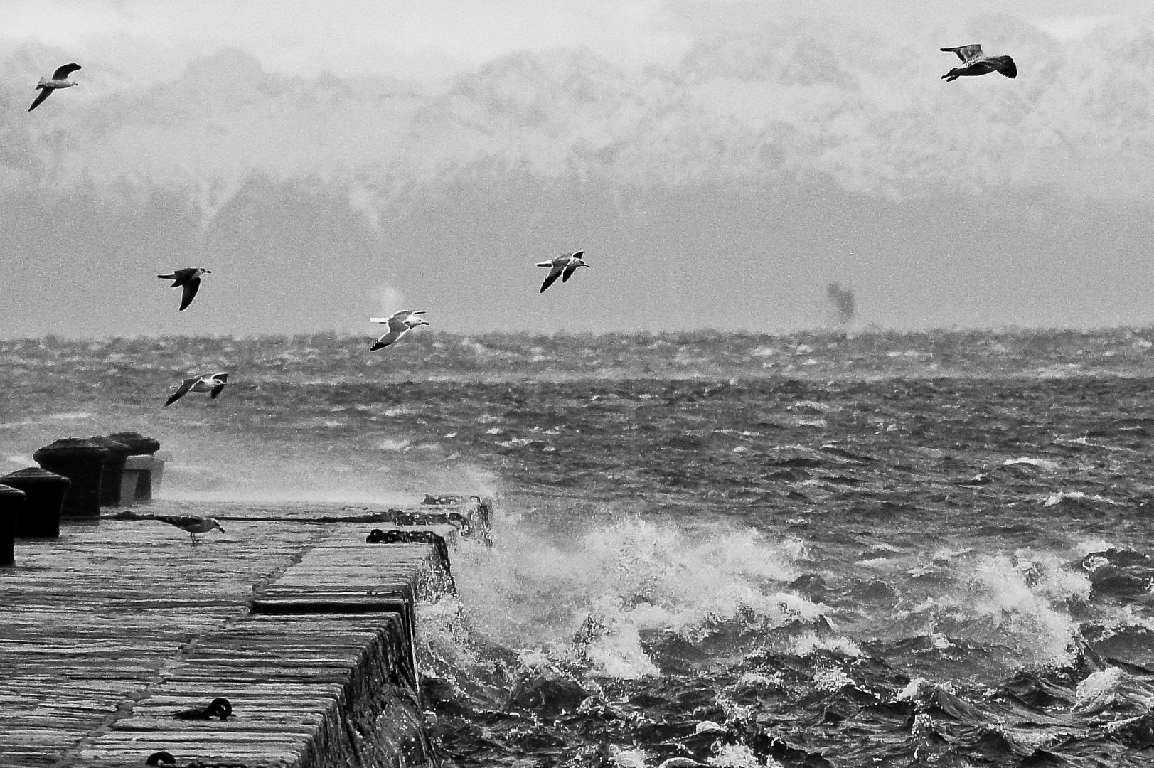 "Bora a Trieste" di Antonio Marano