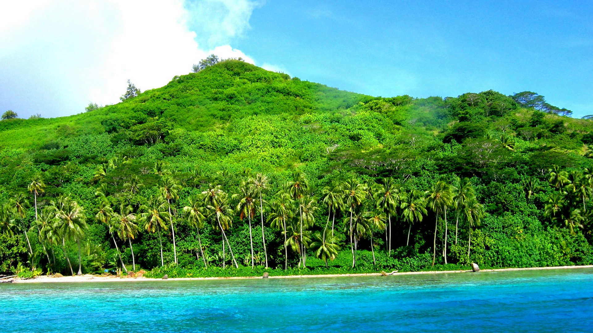 BORA BORA Blue Lagoon