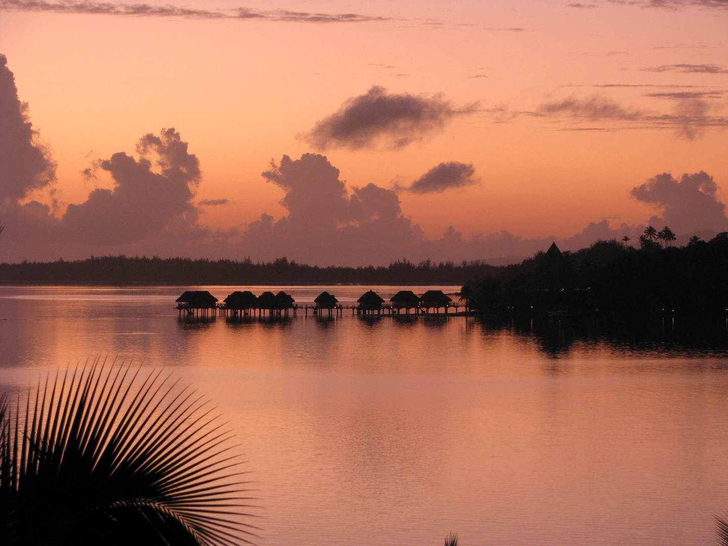 Bora Bora Dawn