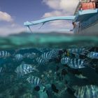 Bora Bora - Franz. Polynesien