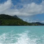 Bora Bora, Motu Maatapiti Cruise.