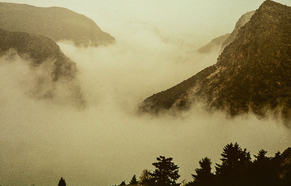 Boraikosschlucht im Nebel. Griechenland.           .DSC_6750