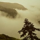 Boraikosschlucht im Nebel, Griechenland.       ..DSC_6751