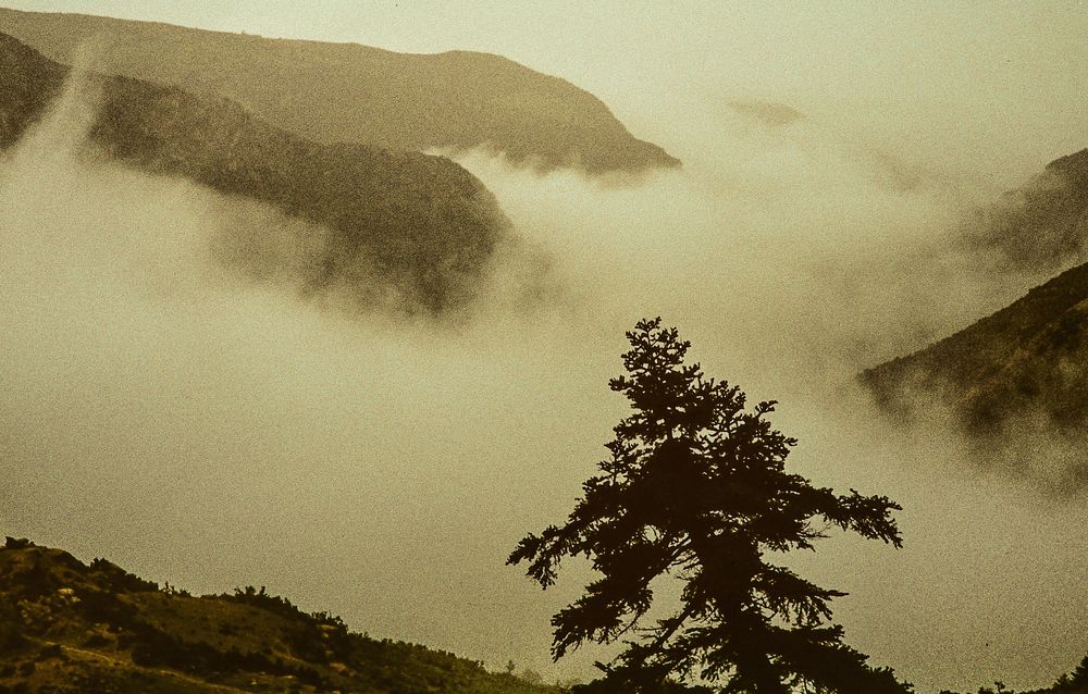 Boraikosschlucht im Nebel, Griechenland.       ..DSC_6751