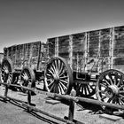 Borax Transport Death Valley