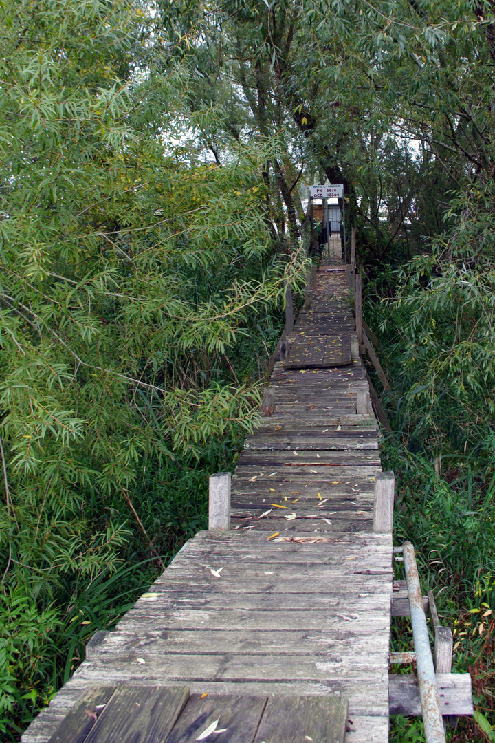 Bord de Garonne ,