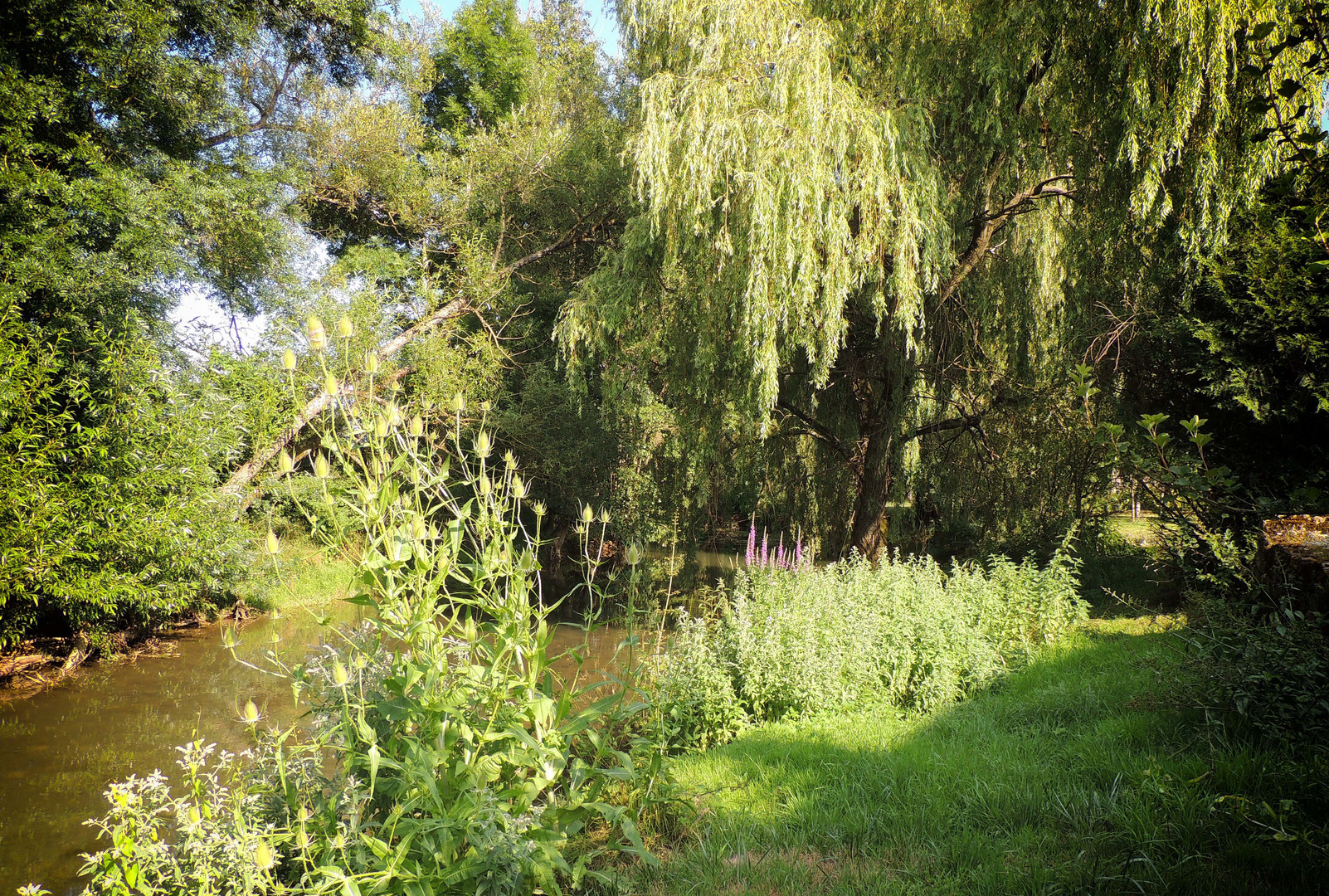 Bord de la Vingeanne 