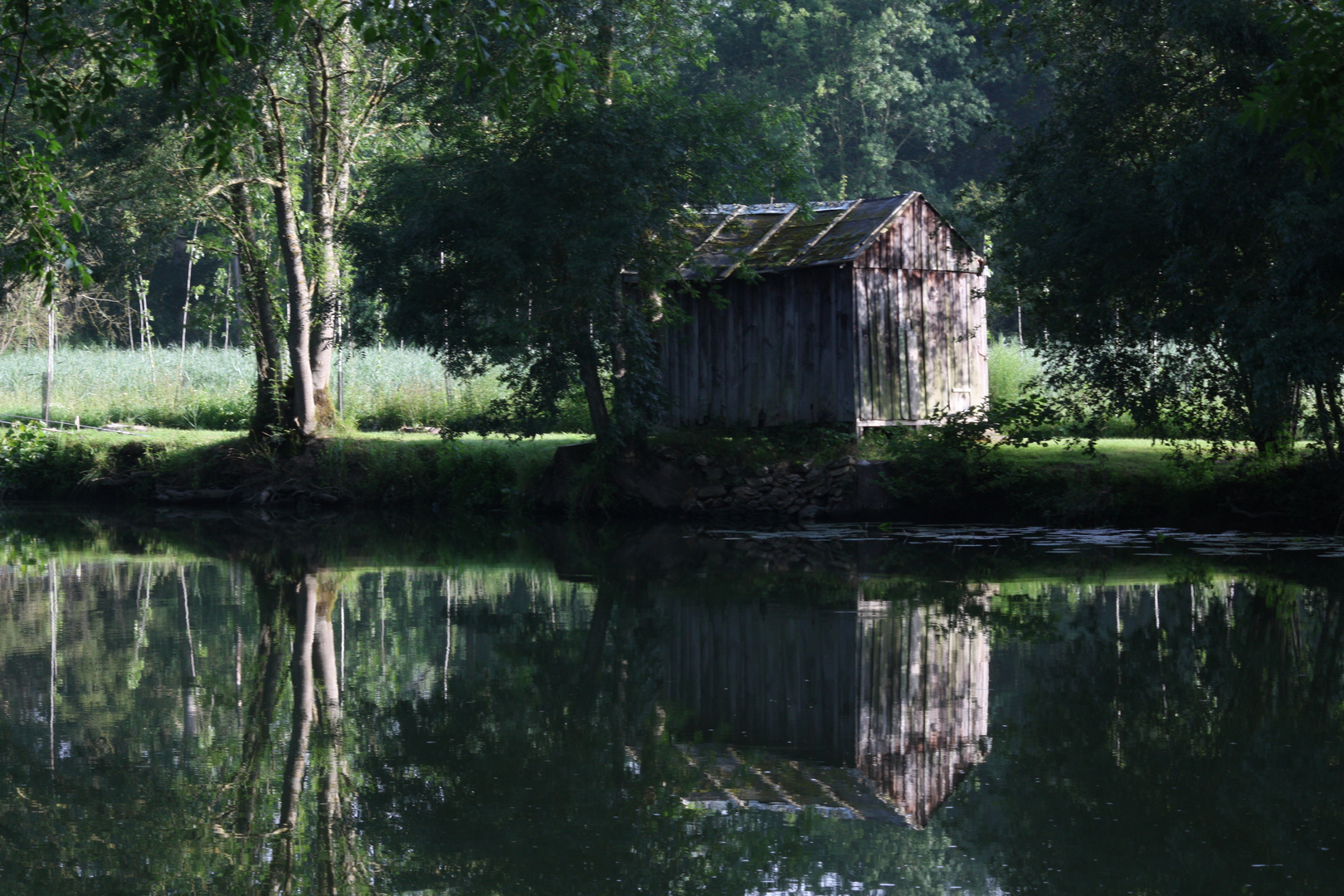 Bord de l'indre- Veigné-