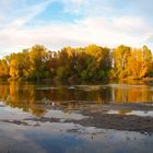 Bord de Loire....