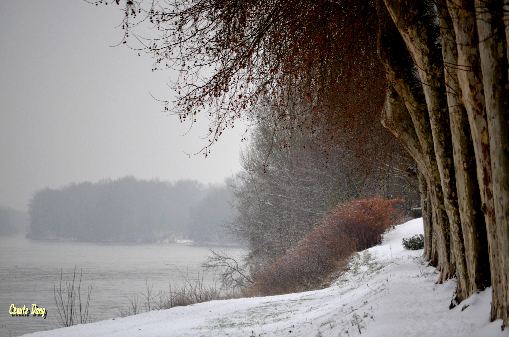 Bord de loire