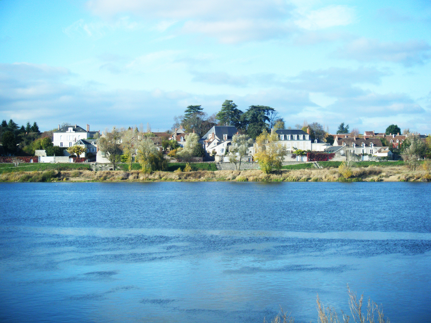 Bord de Loire