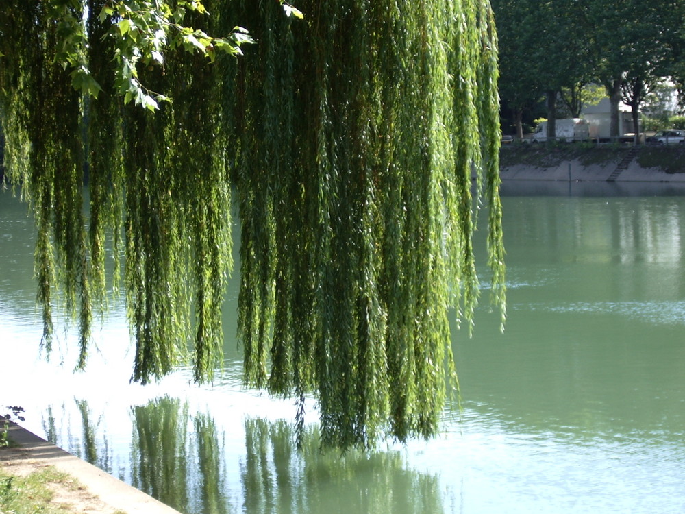 Bord de Marne