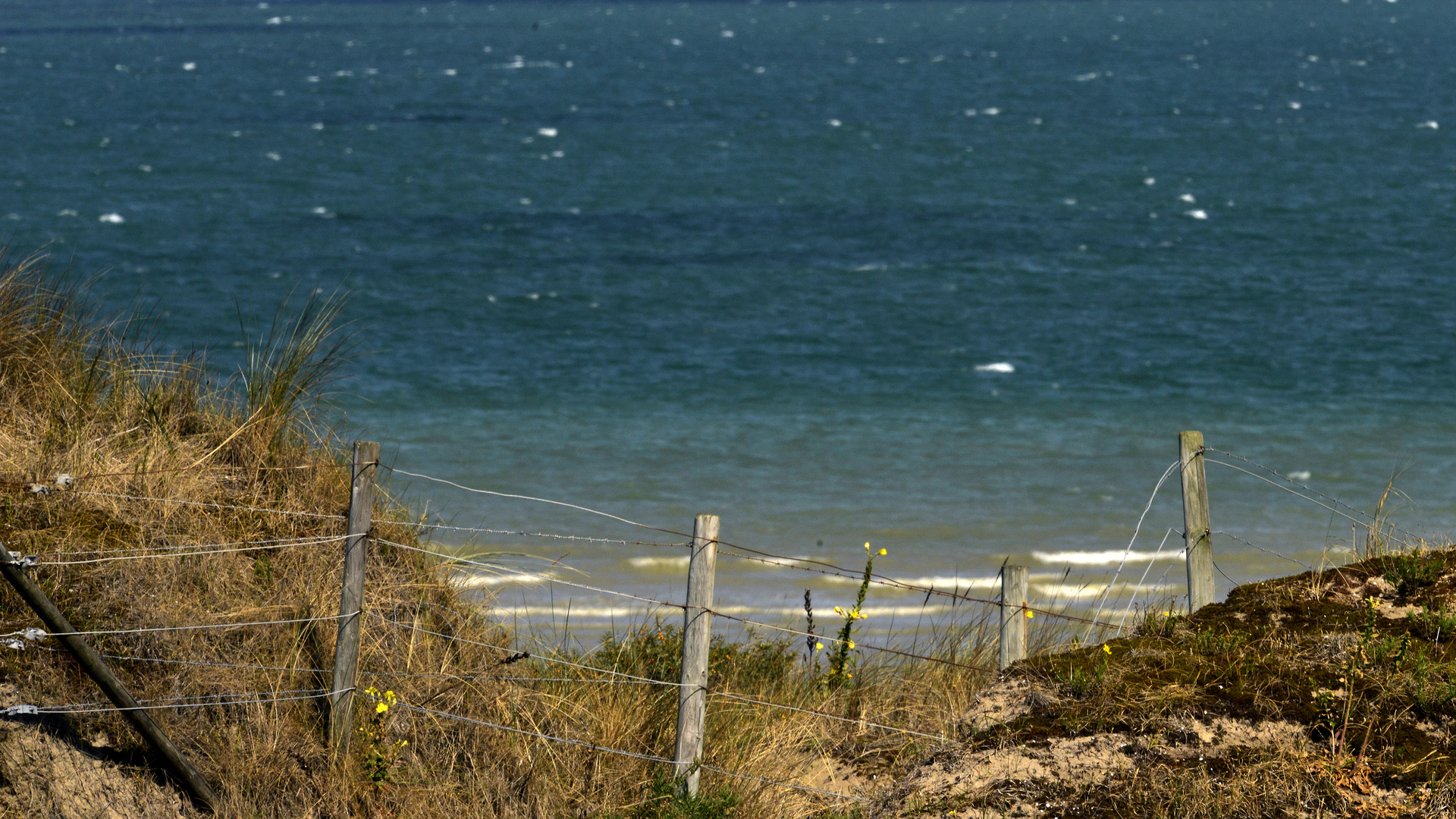 Bord de mer