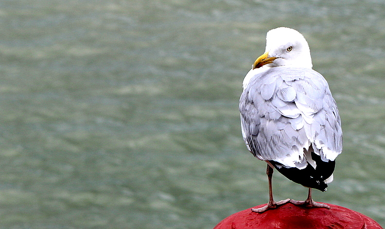 bord de mer....