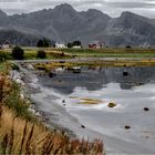 Bord de mer aux Lofoten