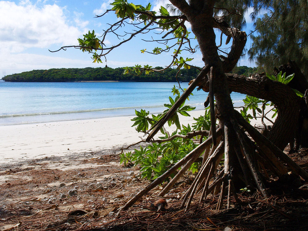 Bord de mer en baie de Kuto (Île des Pins) -- Meeresrand an der Kuto-Bucht (Pinieninsel)