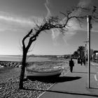 Bord de mer en hiver