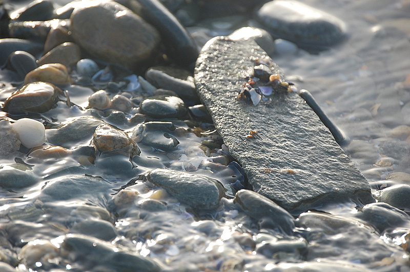 Bord de mer