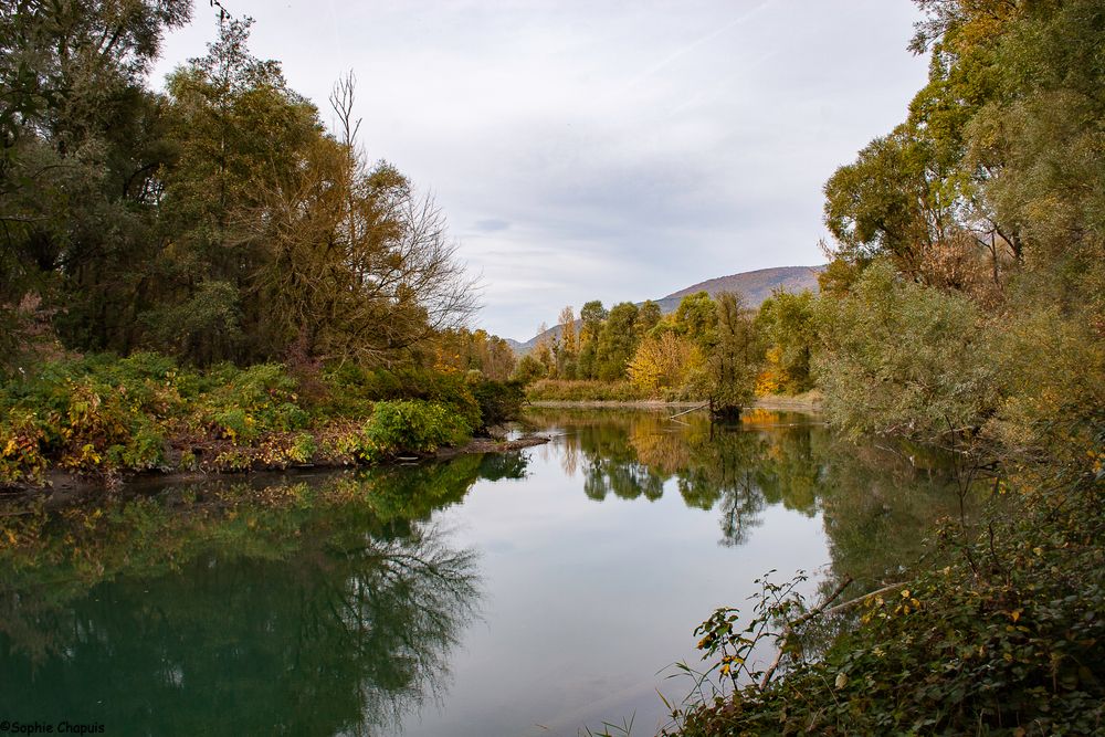 Bord de Rhône