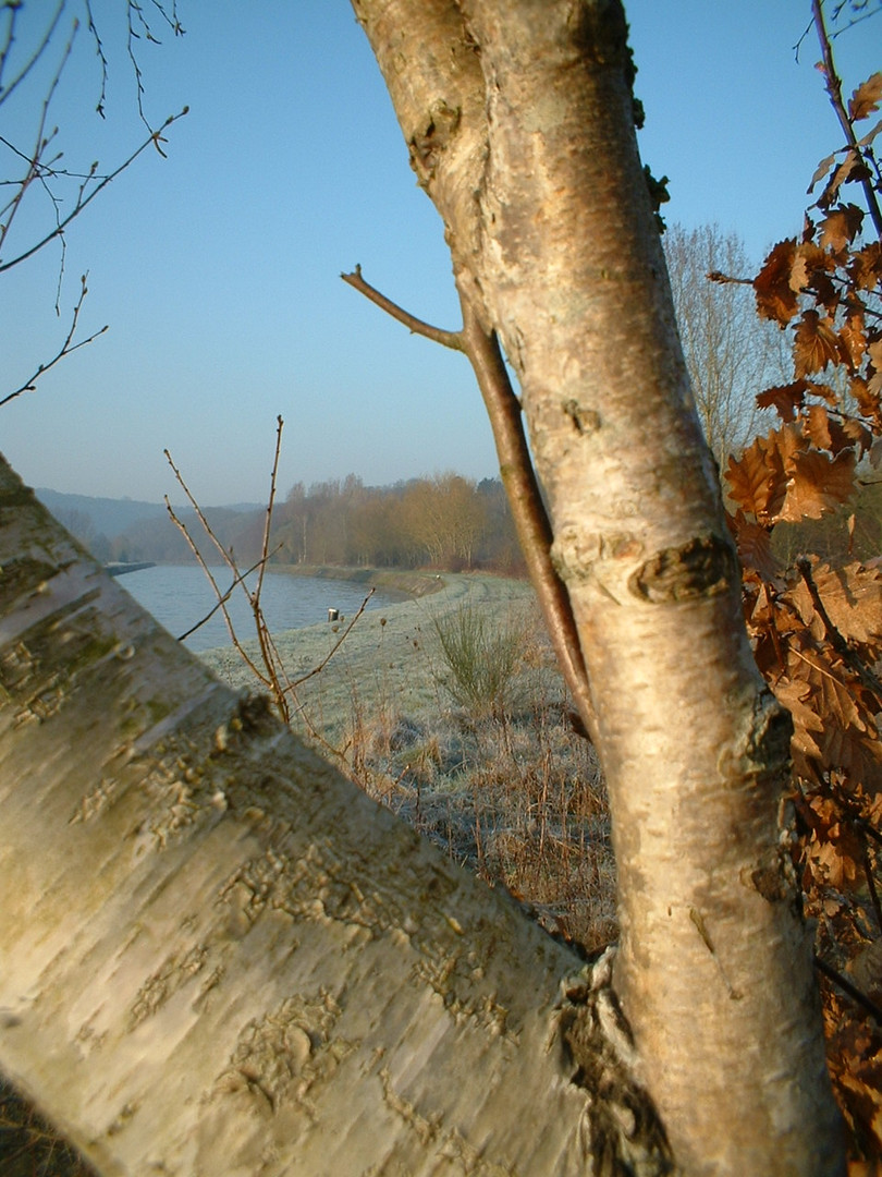 Bord de Sambre à Floriffoux