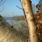 Bord de Sambre à Floriffoux