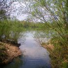 bord de saone