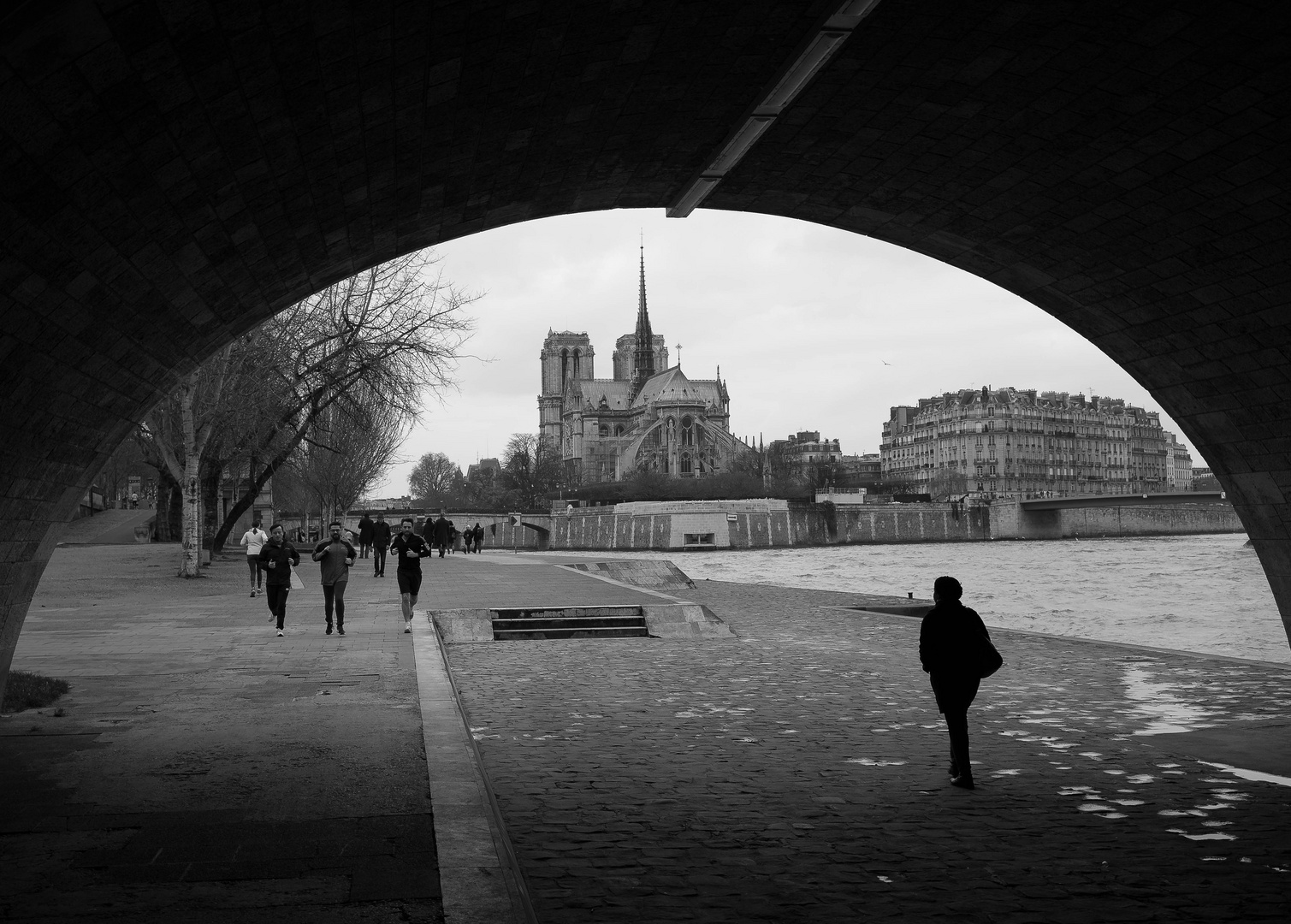 bord de seine