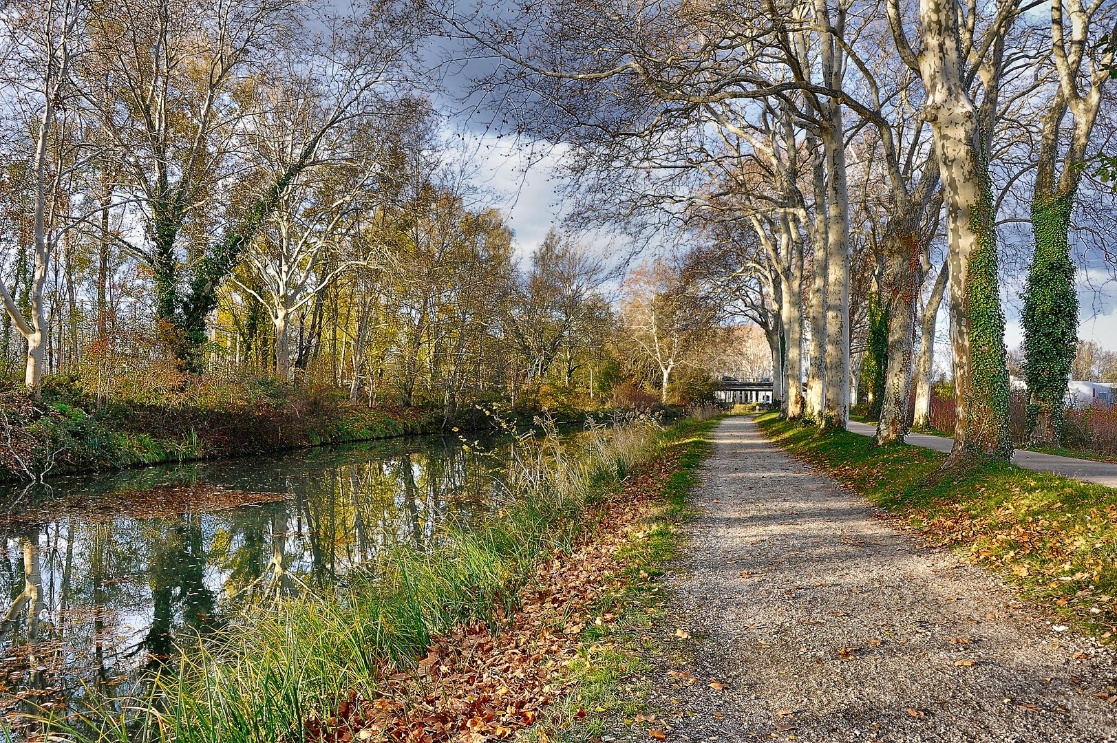 Bord du Canal du Midi