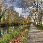 Bord du Canal du Midi