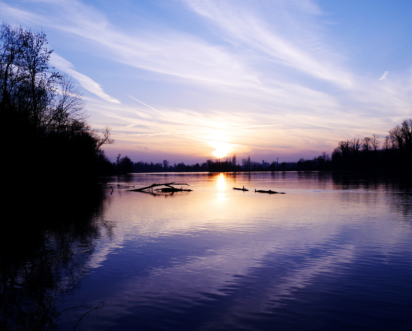 Bord du rhone