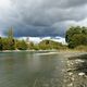 bord du Rhne en automne